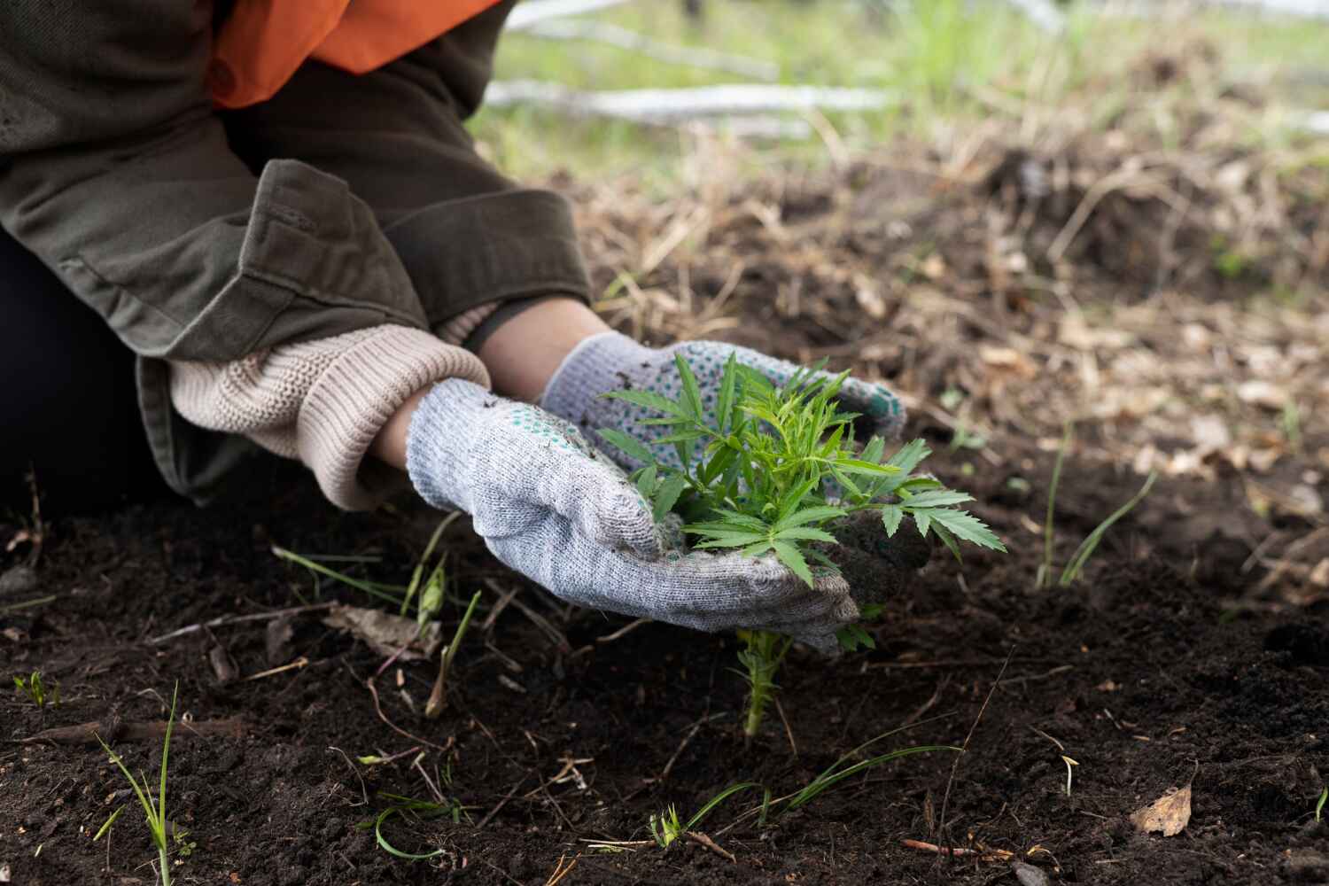 Best Tree Cutting Near Me  in Leisure City, FL